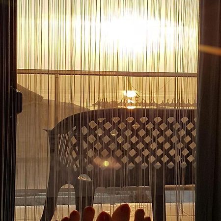Apartament Andy Mamaia Nord 30 M De Plaja Năvodari Zewnętrze zdjęcie