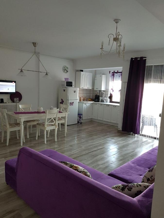 Apartament Andy Mamaia Nord 30 M De Plaja Năvodari Zewnętrze zdjęcie
